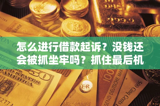 武汉怎么进行借款起诉？没钱还会被抓坐牢吗？抓住最后机会！