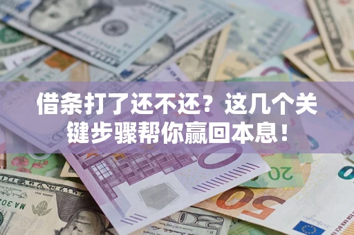 武汉借条打了还不还？这几个关键步骤帮你赢回本息！