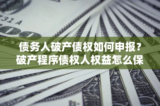 武汉债务人破产债权如何申报？破产程序债权人权益怎么保障？