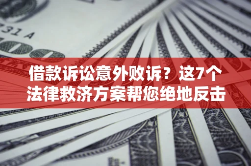 武汉借款诉讼意外败诉？这7个法律救济方案帮您绝地反击！