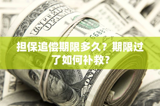 武汉担保追偿期限多久？期限过了如何补救？