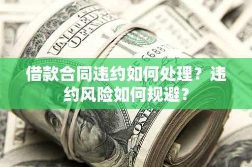 武汉借款合同违约如何处理？违约风险如何规避？