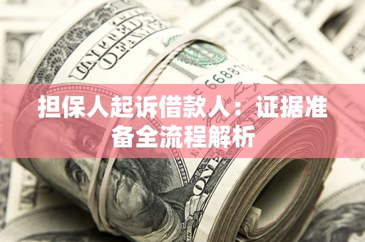 武汉担保人起诉借款人：证据准备全流程解析