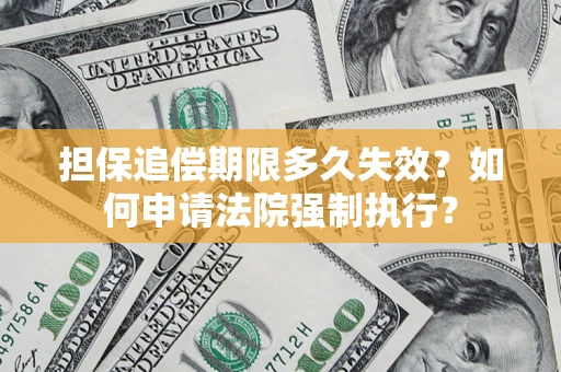 武汉担保追偿期限多久失效？如何申请法院强制执行？