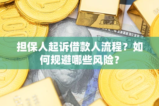 武汉担保人起诉借款人流程？如何规避哪些风险？
