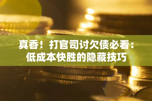 武汉真香！打官司讨欠债必看：低成本快胜的隐藏技巧