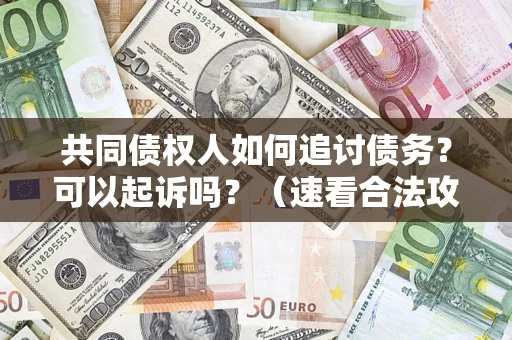 武汉共同债权人如何追讨债务？可以起诉吗？（速看合法攻略）