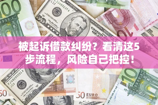 武汉被起诉借款纠纷？看清这5步流程，风险自己把控！