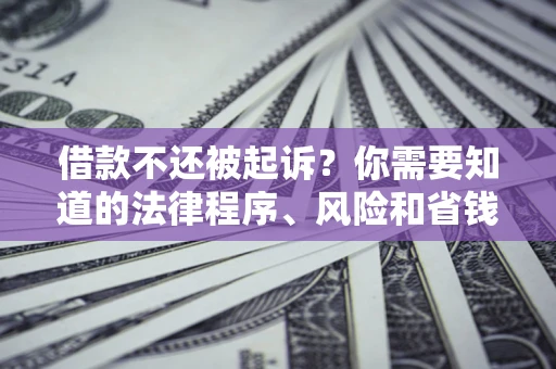 武汉借款不还被起诉？你需要知道的法律程序、风险和省钱技巧
